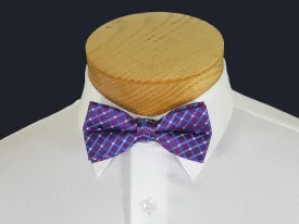 Boy's Bow Tie 21131 Purple/Blue Plaid